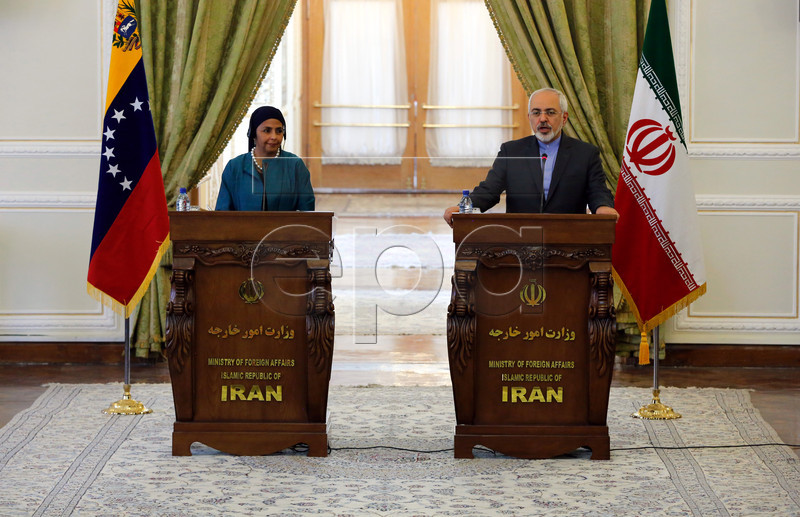 Iran, Venezuela Adopted Anti-Bullying Approaches: Zarif 